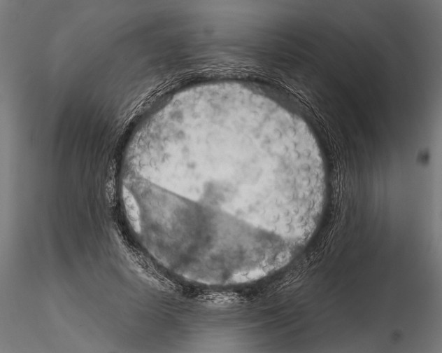 X0000115190642200912091111