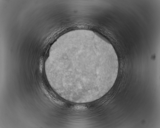 X0000115190644200912091111