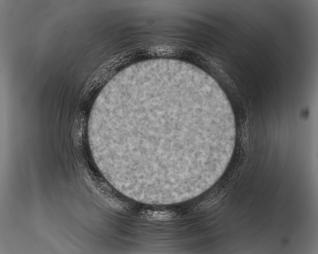 X0000115190645200912091111