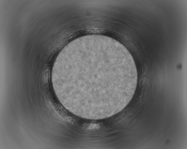 X0000115190647200912091111