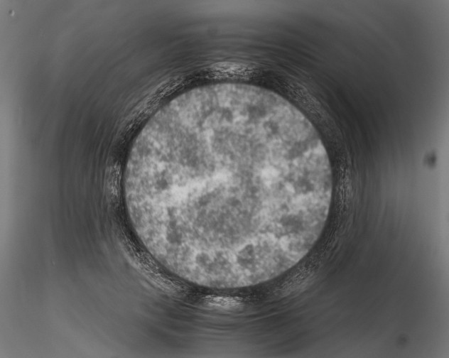 X0000115190649200912091111