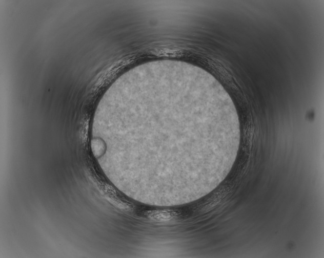 X0000115190652200912091111