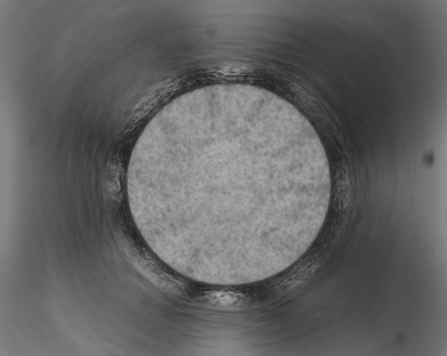 X0000115190654200912091111