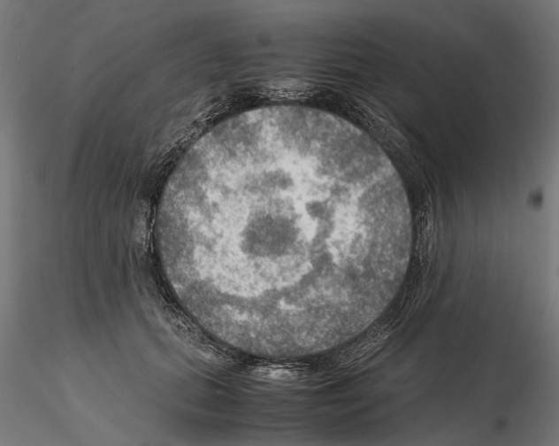 X0000115190655200912091111