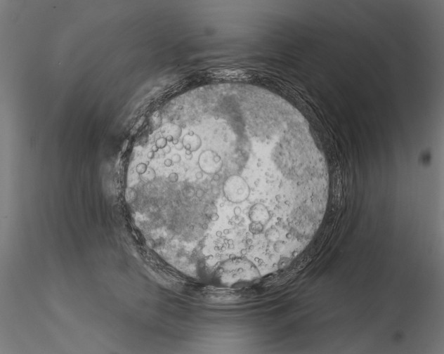 X0000115190658200912091112