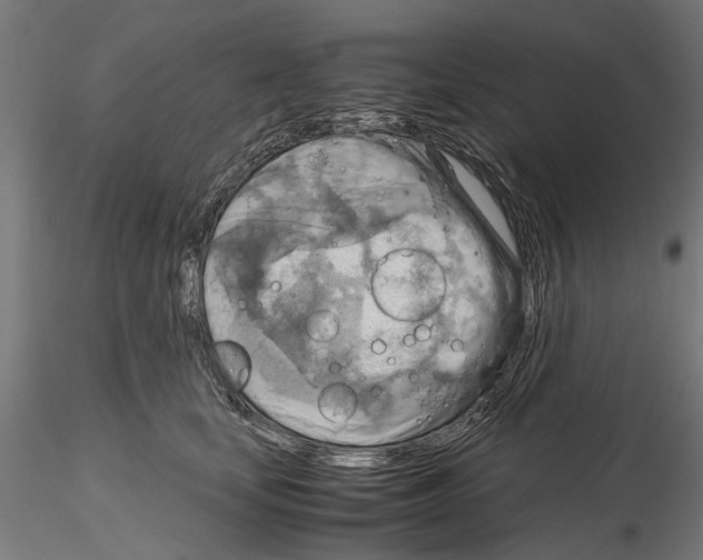 X0000115190659200912091112