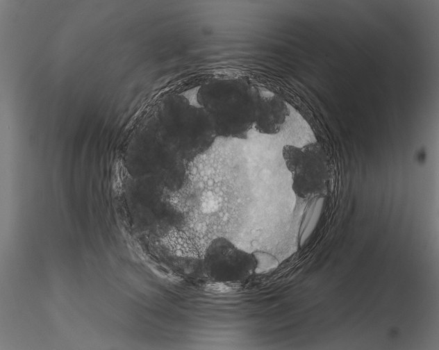 X0000115190660200912091112