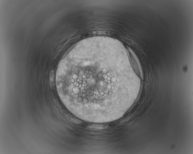 X0000115190661200912091112