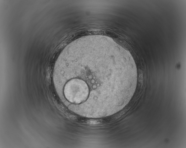 X0000115190662200912091112