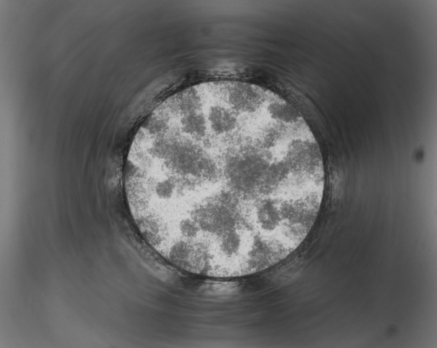 X0000115190665200912091112