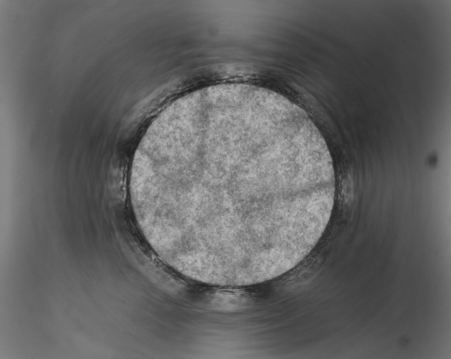 X0000115190666200912091112