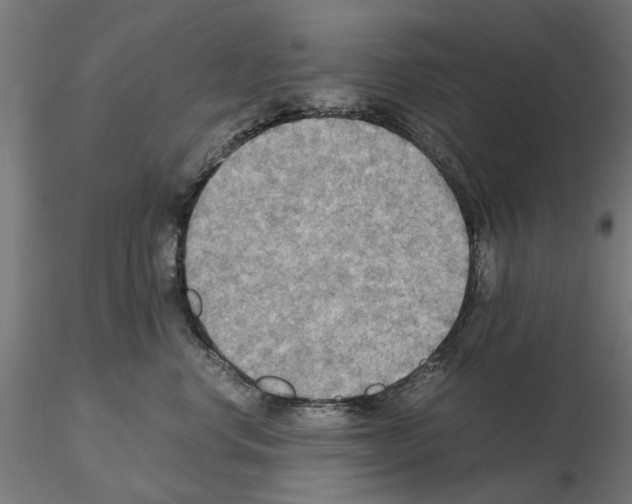 X0000115190668200912091112