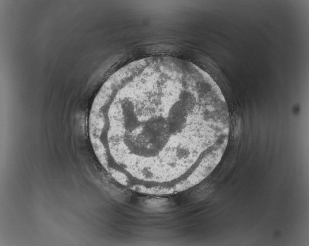 X0000115190669200912091112