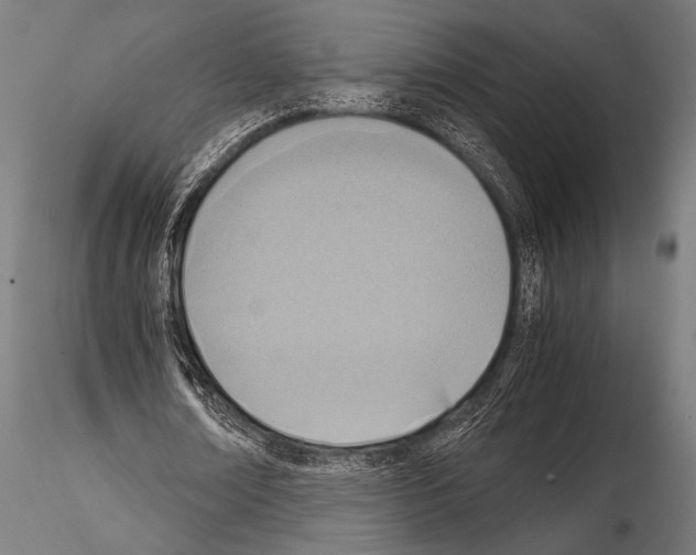 X0000115190674200912091111