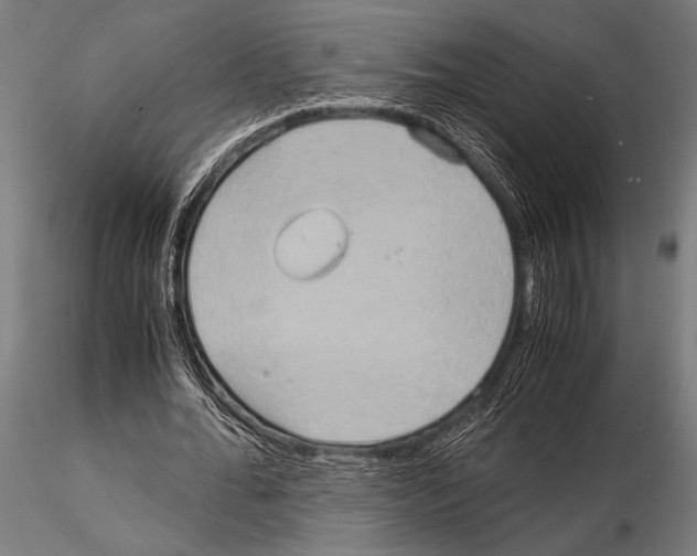 X0000115190676200912091111