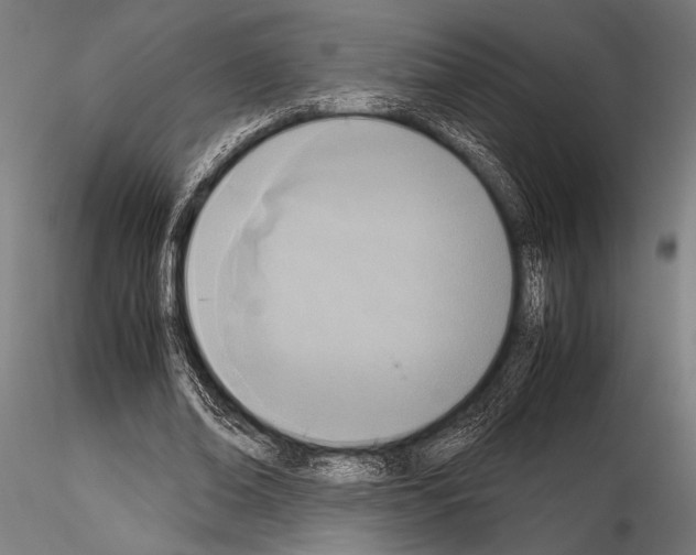 X0000115190678200912091111