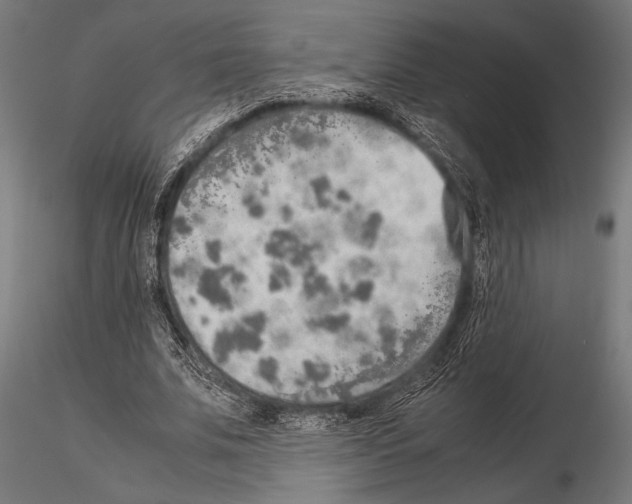 X0000115190679200912091111