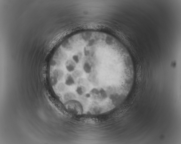 X0000115190683200912091111