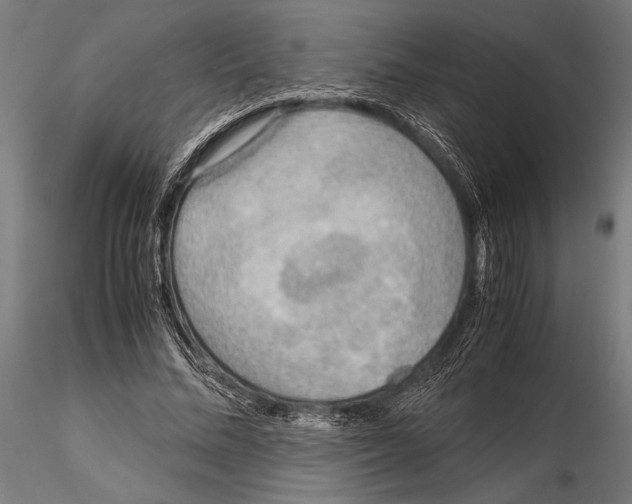 X0000115190684200912091111