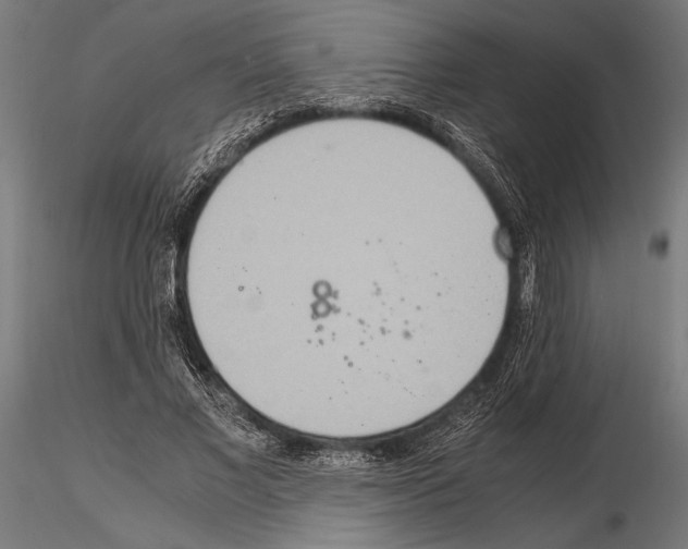 X0000115190685200912091111