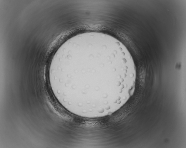 X0000115190686200912091111