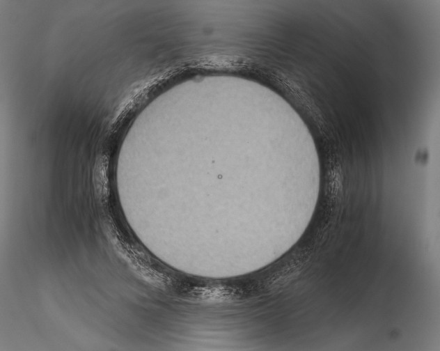 X0000115190688200912091111