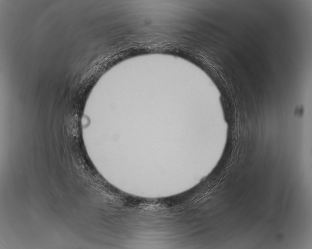 X0000115190689200912091111