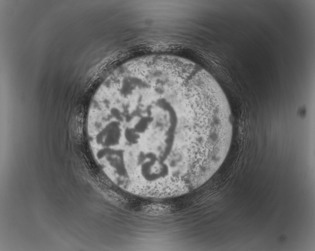 X0000115190691200912091111