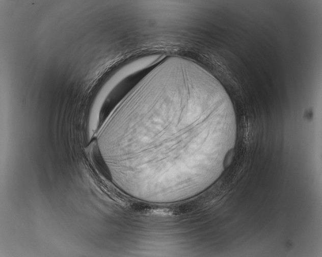 X0000115190692200912091111