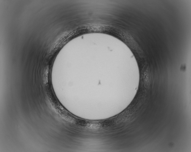 X0000115190694200912091111