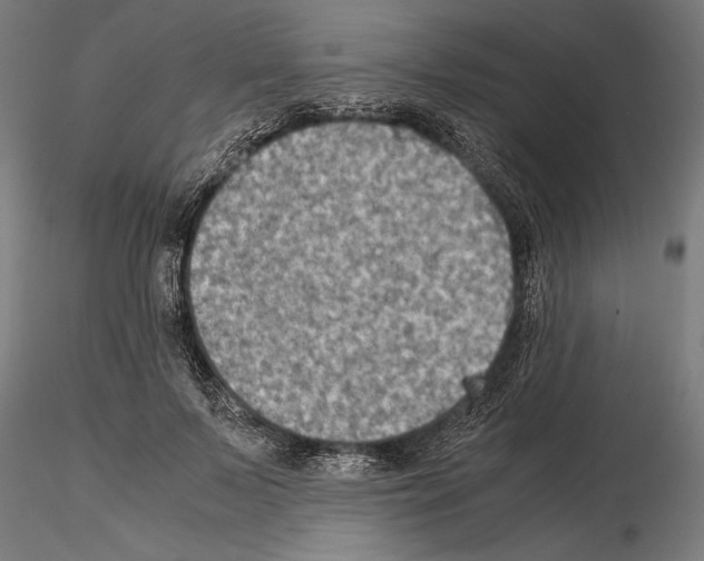 X0000115190695200912091111