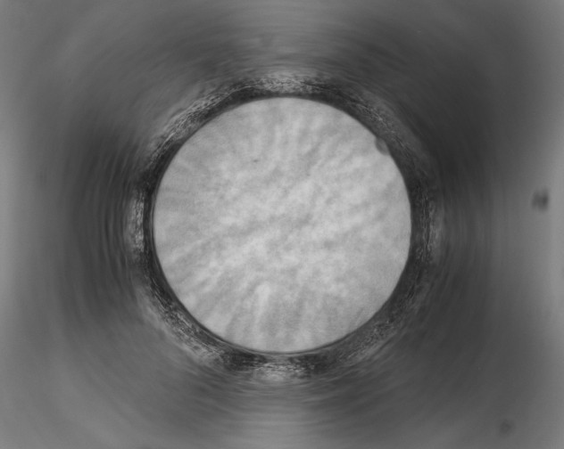 X0000115190696200912091111