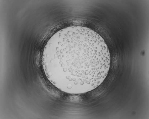 X0000115190698200912091111