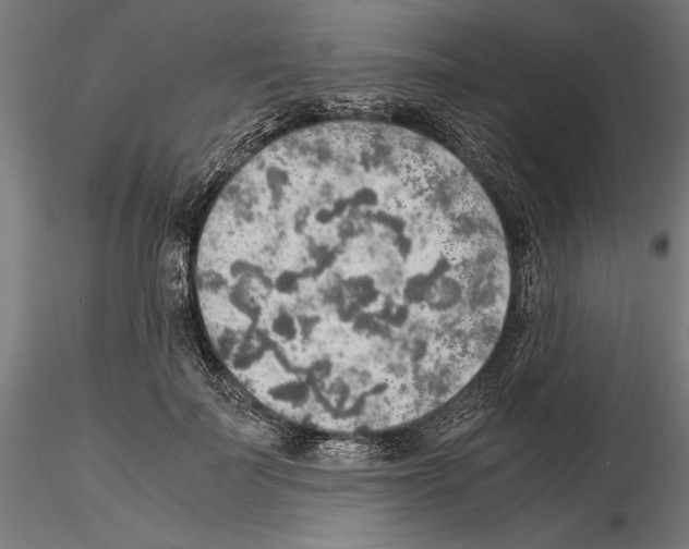 X0000115190699200912091111