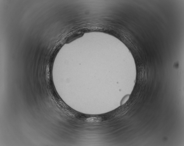 X0000115190700200912091111