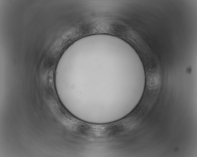 X0000115190701200912091111