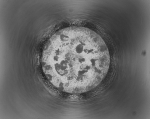 X0000115190703200912091111