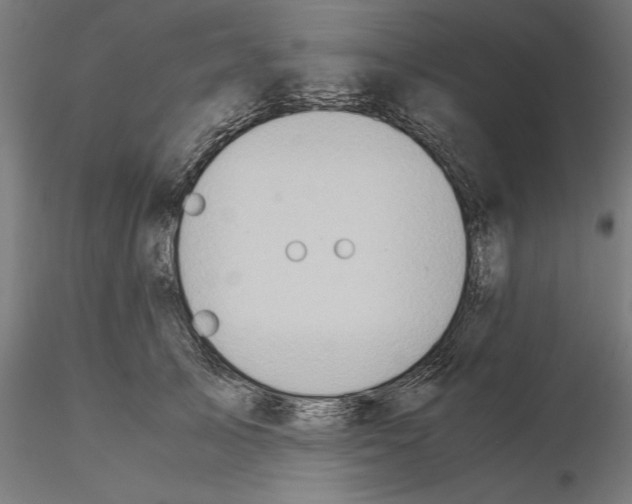 X0000115190705200912091111