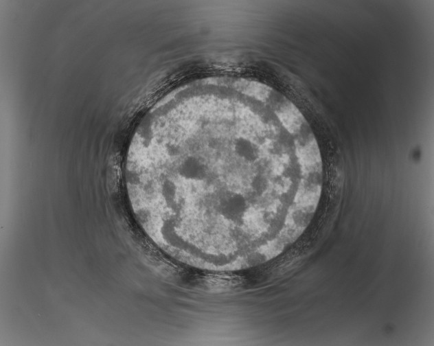 X0000115190707200912091111