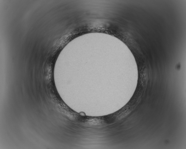 X0000115190708200912091111