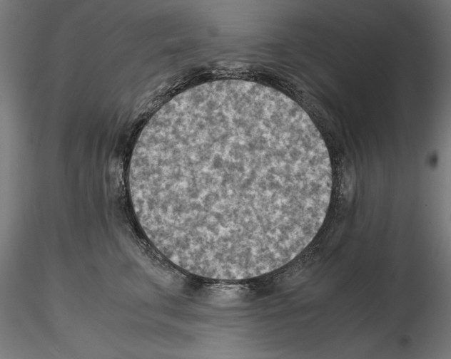 X0000115190711200912091111