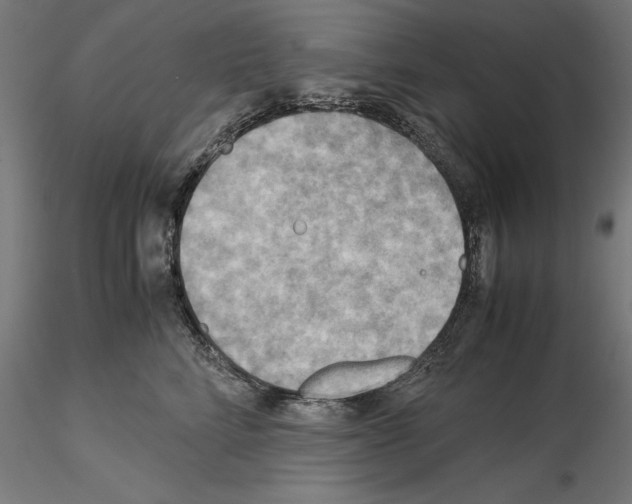 X0000115190712200912091111