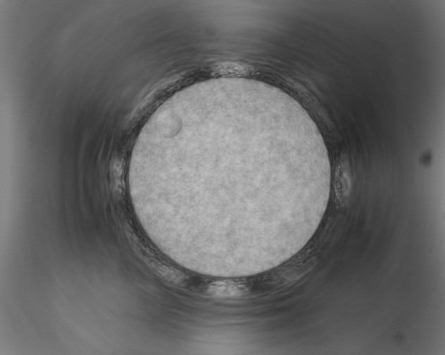 X0000115190714200912091110