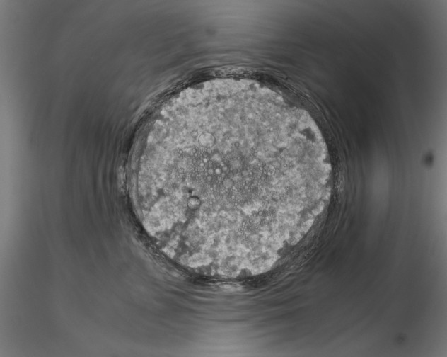 X0000115190715200912091110