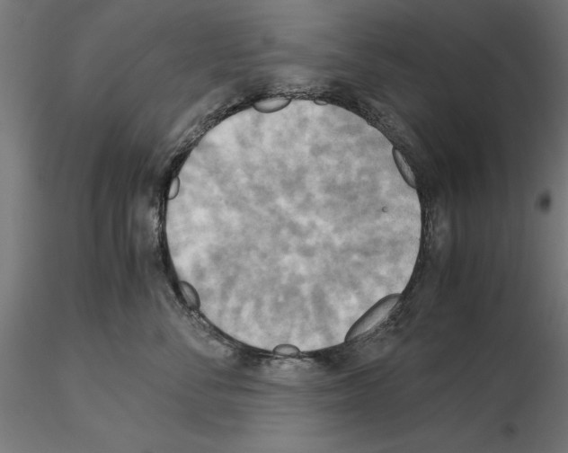 X0000115190716200912091110