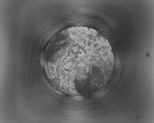 X0000115190719200912091110