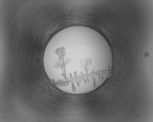 X0000115190720200912091110