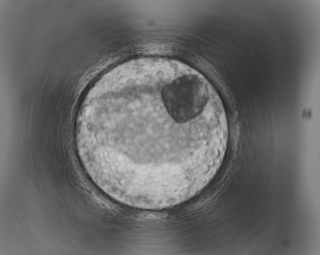 X0000115190721200912091110