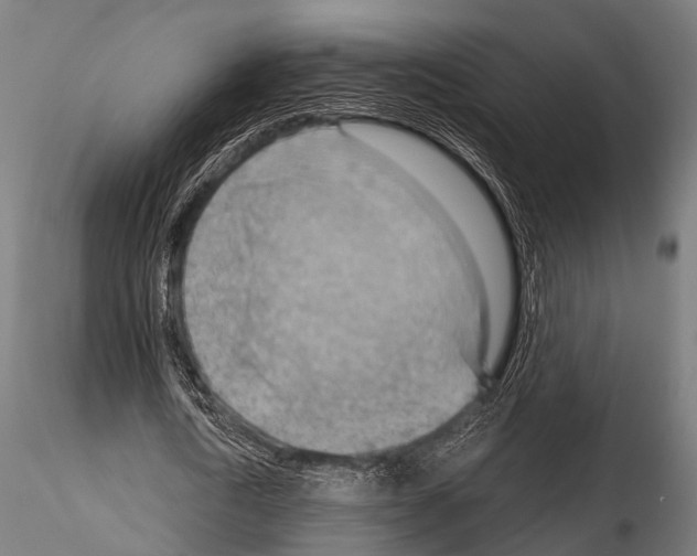 X0000115190722200912091110