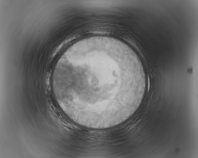 X0000115190723200912091110